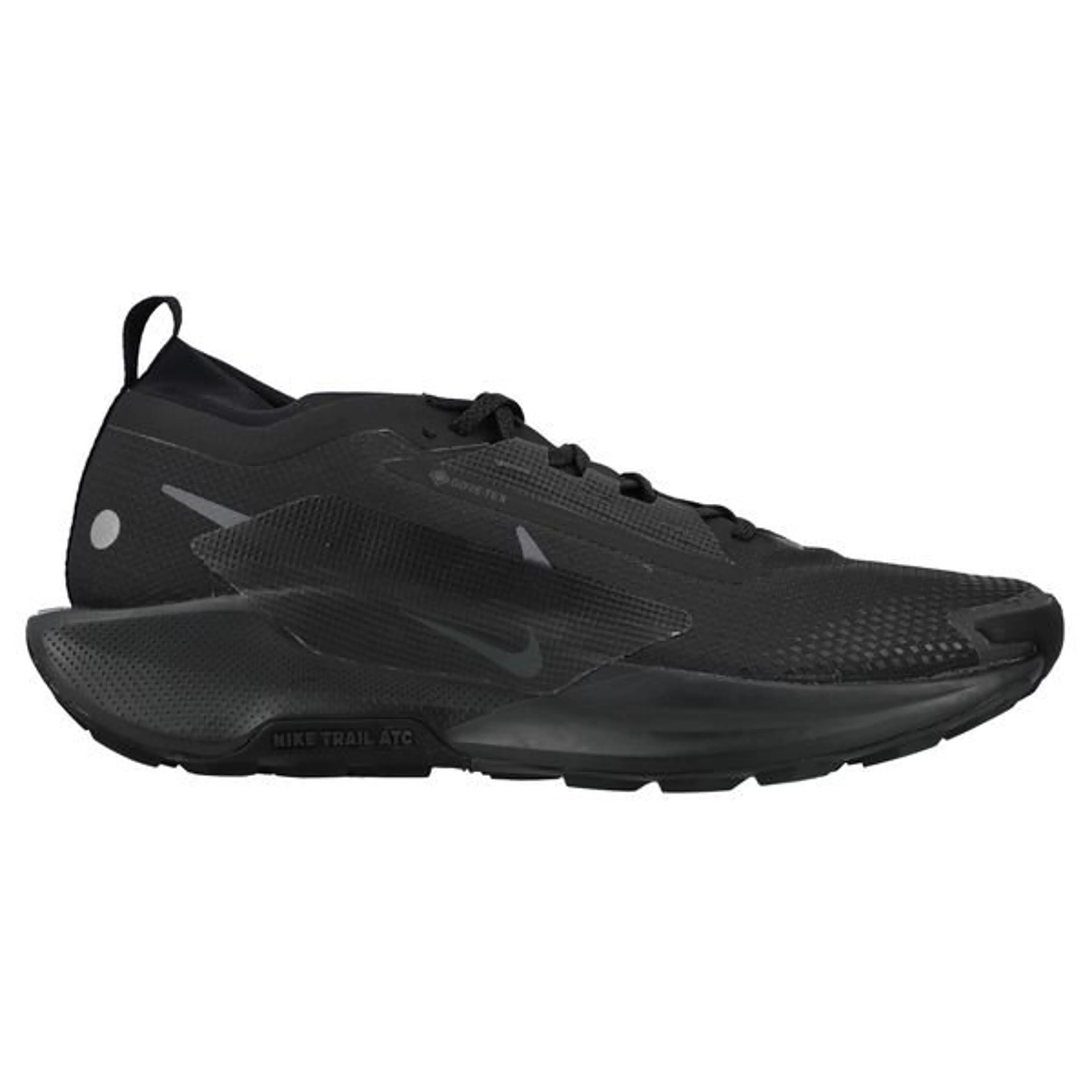 Nike Running Shoe Pegasus Trail 5 Gore-Tex - Black/Anthracite